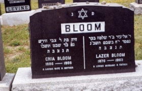Bloom-Lazer-and-Chia thumbnail
