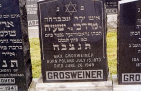 Grosweiner-Max thumbnail