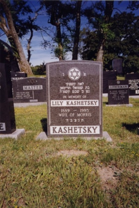 Kashetsky-Lily thumbnail