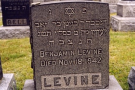 Levine-Benjamin thumbnail