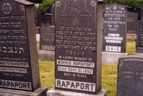 Rapaport-Morris thumbnail